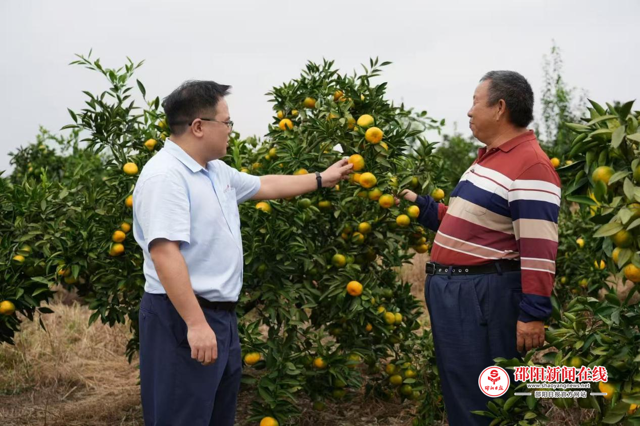 金融活水润桔园 甜蜜产业启丰年