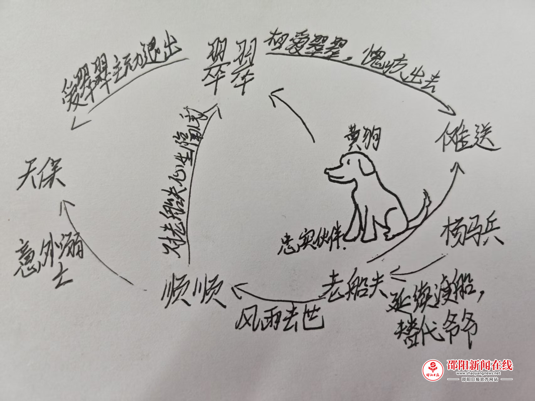 图片7